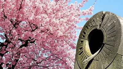 Illustration temporal - Image 1