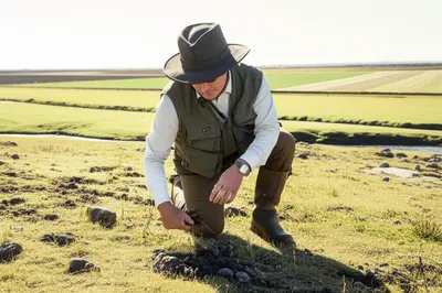 Illustration fields - Image 1