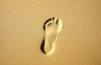 Illustration sign - Image 1