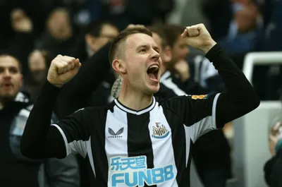 Illustration magpie - Image 1