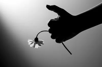 Illustration molested - Image 1