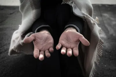 Illustration want - Image 1