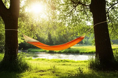 Hình ảnh minh họa leisure - Ảnh 1