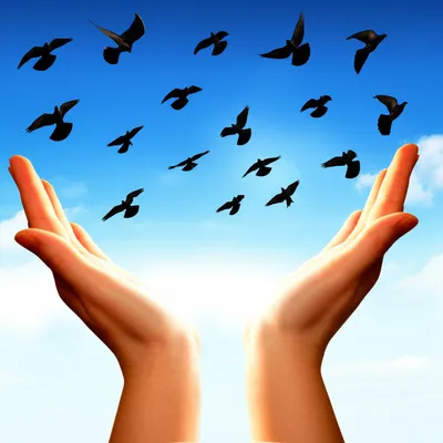 Illustration relinquished - Image 1