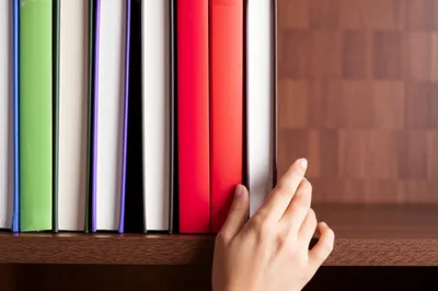 Illustration trim - Image 1