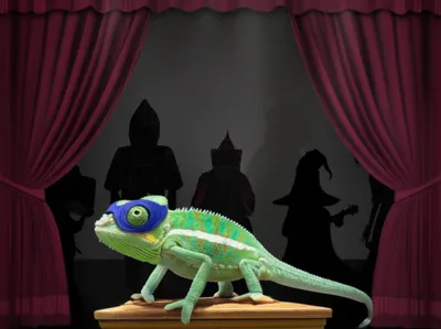 Illustration wildcard - Image 1