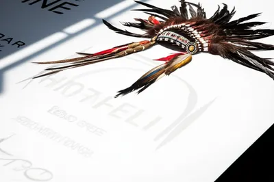 Illustration appropriation - Image 1