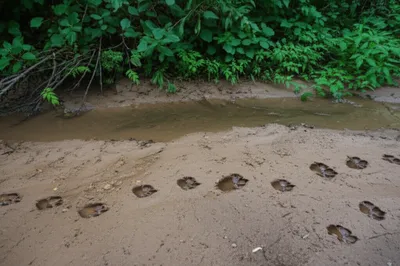 Hình ảnh minh họa sp - Ảnh 1