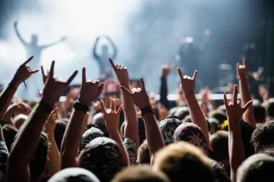 Illustration maggot - Image 1