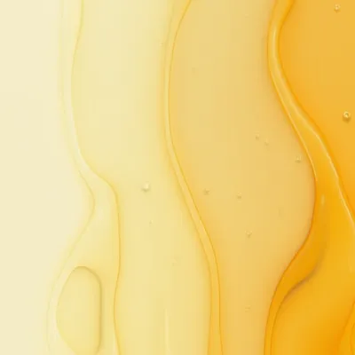 Illustration honeys - Image 1