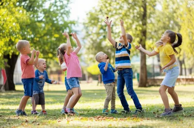 Illustration cob - Image 1