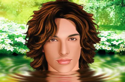 Illustration narcissus - Image 1