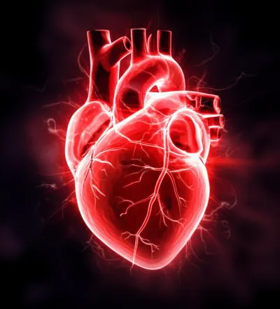 Illustration pant - Image 1