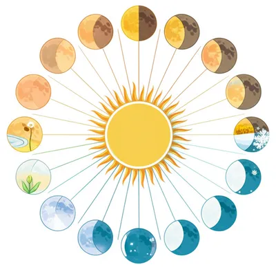 Illustration months - Image 1