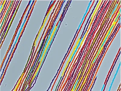 Illustration ropey - Image 1