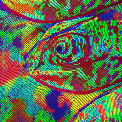 Illustration accommodates - Image 1