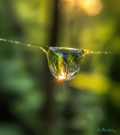 Illustration gleam - Image 1