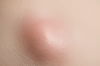 Illustration wen - Image 1