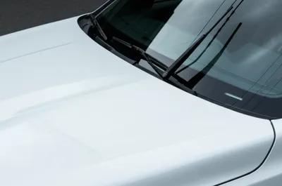 Illustration nits - Image 1