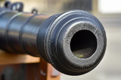 Illustration astragals - Image 1