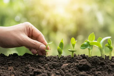 Illustration investing - Image 1