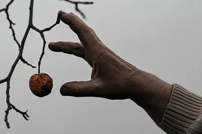 Illustration unavailing