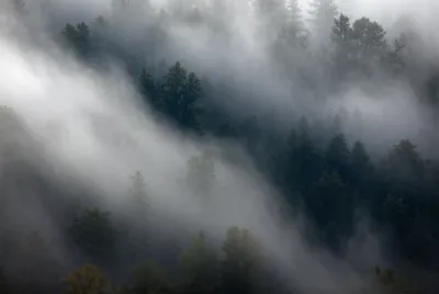 Illustration densest - Image 1