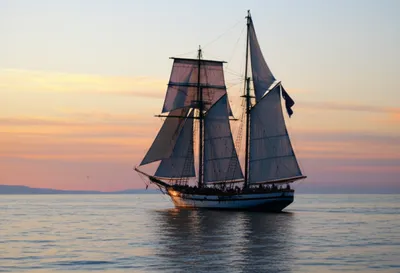 Illustration seagoing