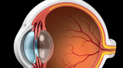 Illustration humors - Image 1