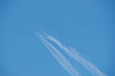 Illustration wakes - Image 1