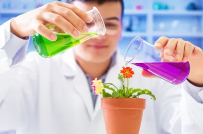 Illustration treats - Image 1