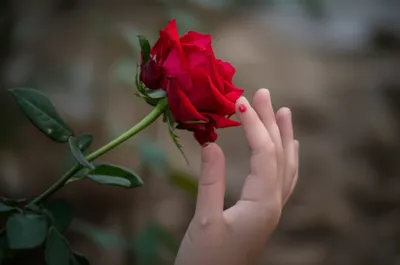 Illustration bites - Image 1