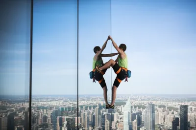 Illustration geckos - Image 1