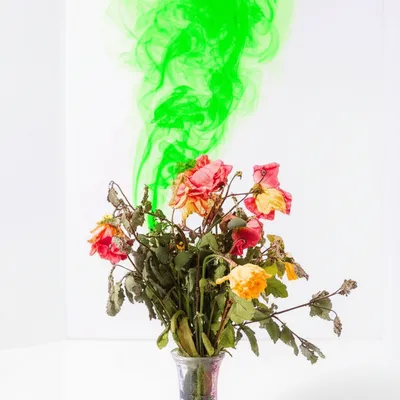 Illustration reek - Image 1