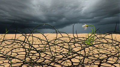 Illustration aggression - Image 1