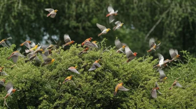 Illustration flush - Image 1