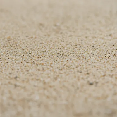 Illustration granular - Image 1