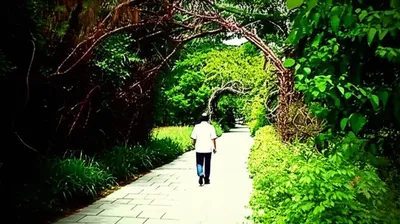 Illustration regress - Image 1