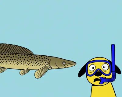 Illustration dogfish - Image 1