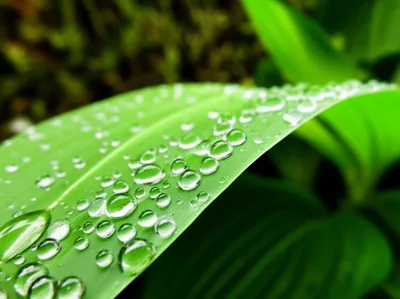 Illustration exuded - Image 1