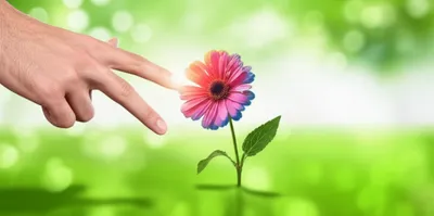 Illustration snaps - Image 1