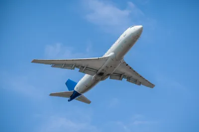 Illustration bellies - Image 1