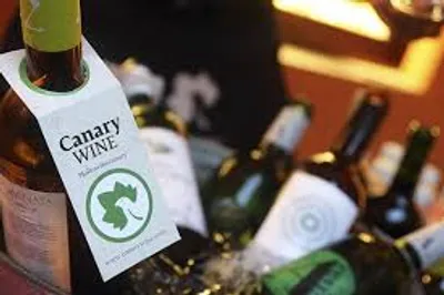 Illustration canary - Image 2