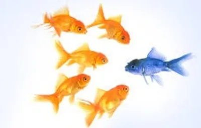 Illustration extraneous - Image 3