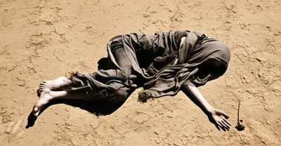 Illustration prostrate - Image 1