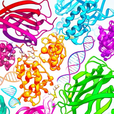 Illustration biochemistry - Image 1