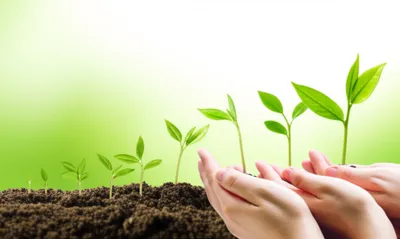 Illustration gain - Image 1