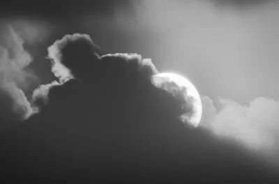 Illustration blotting - Image 1