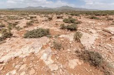 Illustration rugged - Image 2