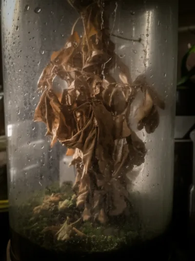 Illustration airless - Image 1